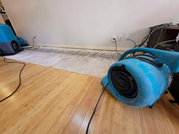 Professional Structural Drying technician working in Essex, MA